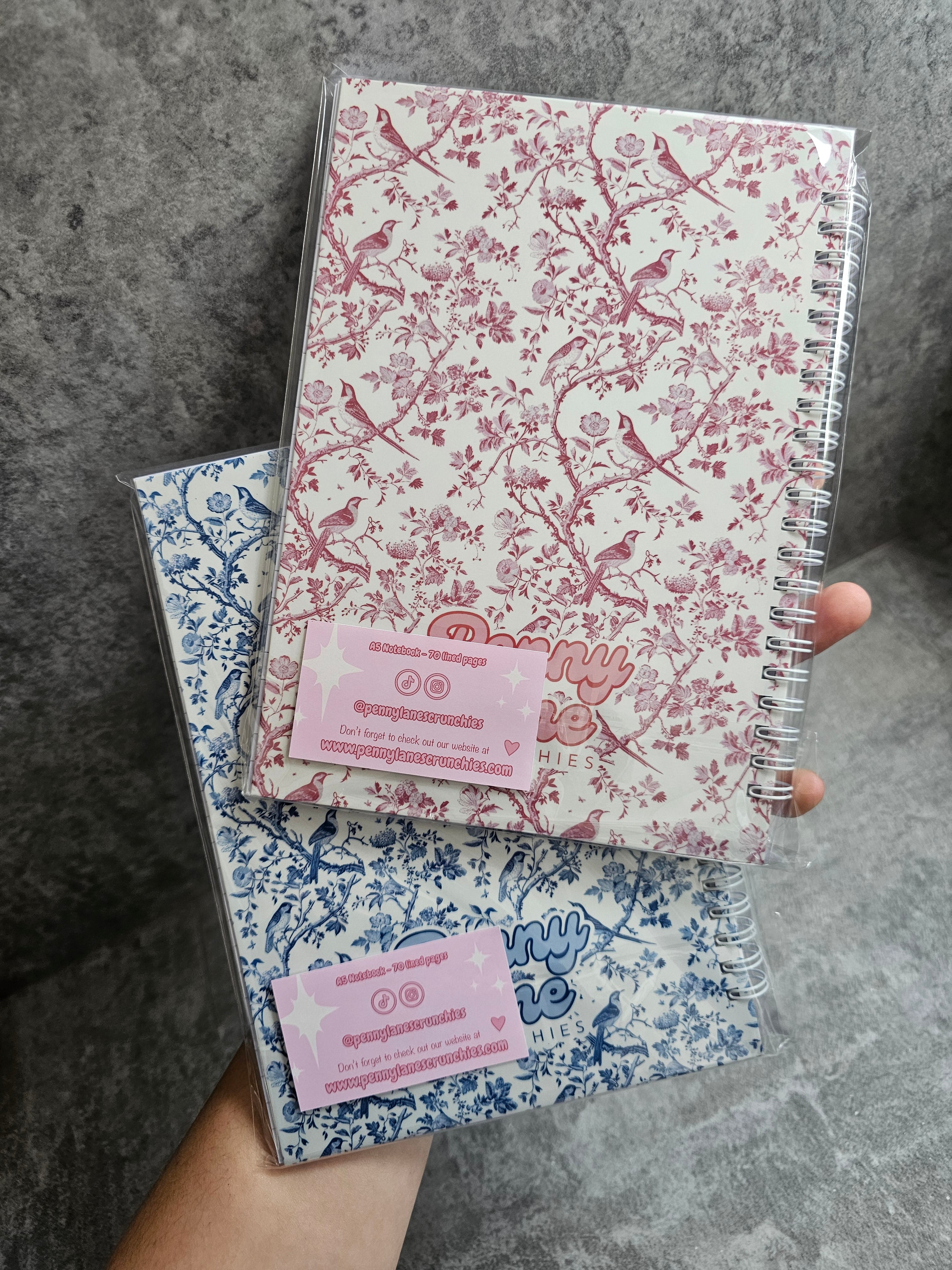 PLS Notebook.